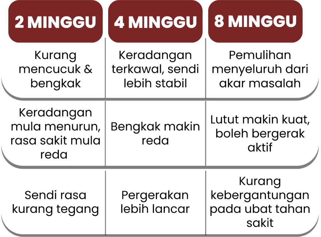 Perubahan yang pengguna rasa selepas 2, 4 dan 8 minggu amalkan Synovil