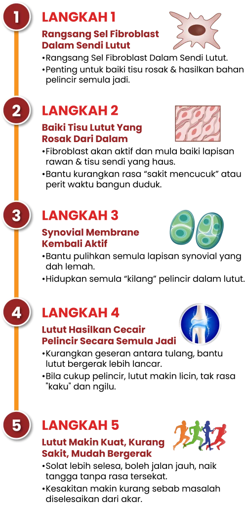 Bagaimana Synovil bantu baiki sendi dan pulihkan gel lutut secara semula jadi